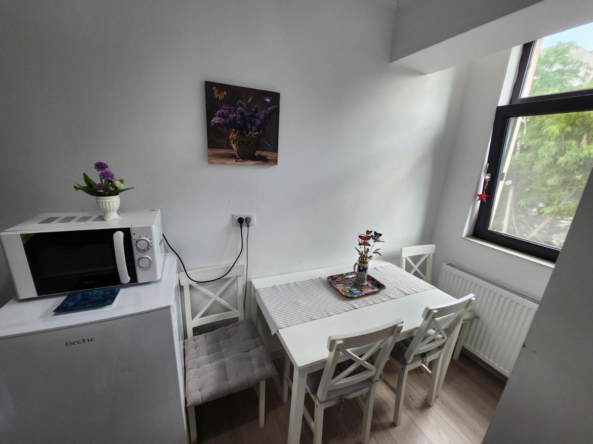 Boutique City Retreats Apartments Iasi Exteriér fotografie