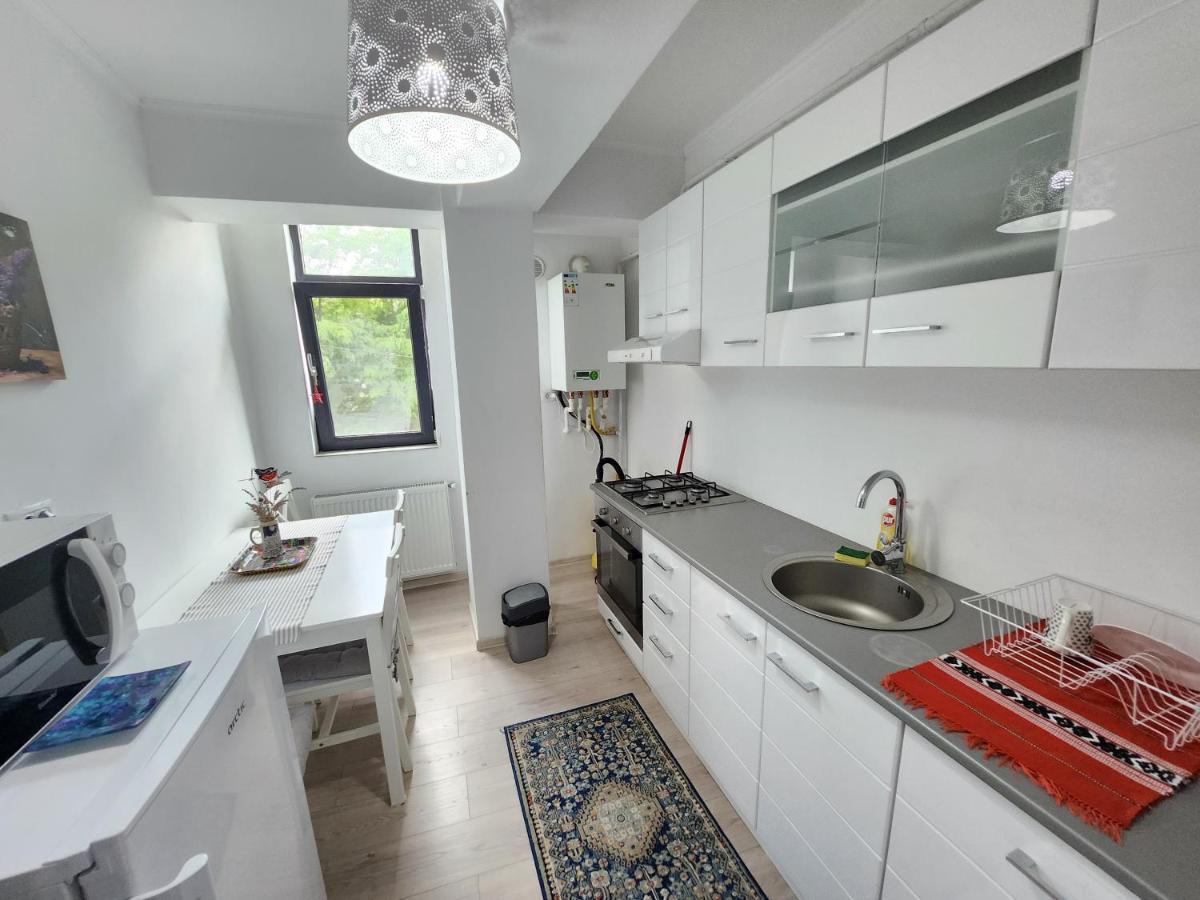 Boutique City Retreats Apartments Iasi Exteriér fotografie